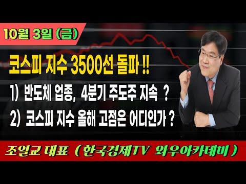 조 씨의 투자 실적